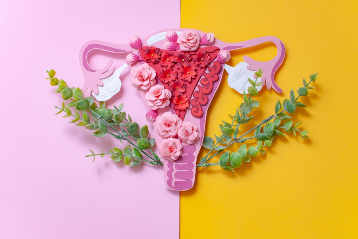 nutricao e endometriose